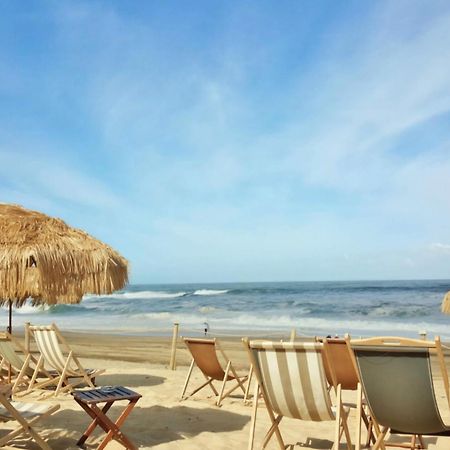 Appartement Avec Terrasse/Bord De Mer/Ideal Surf Seignosse Zewnętrze zdjęcie