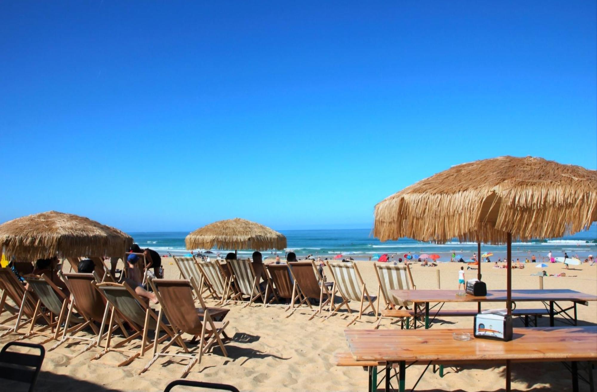 Appartement Avec Terrasse/Bord De Mer/Ideal Surf Seignosse Zewnętrze zdjęcie